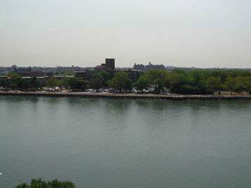 137803 large1.jpg